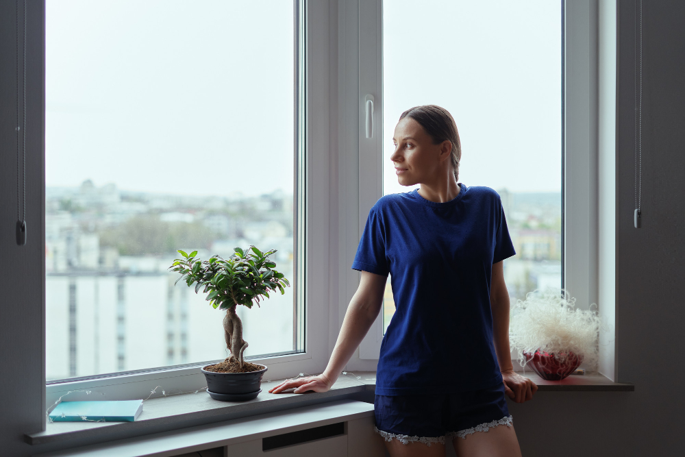 Rockford Window Styles